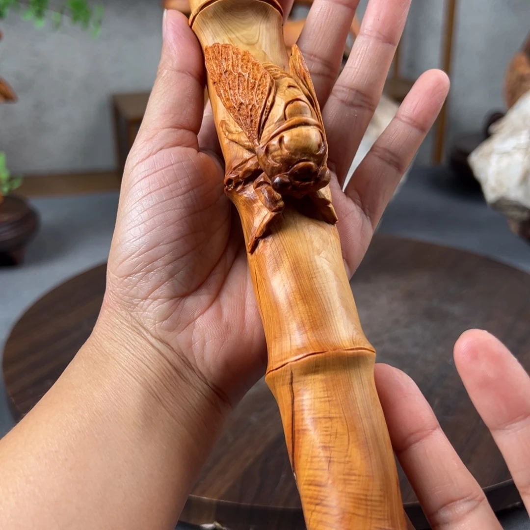 柏木（崖柏）崖柏太行山脉