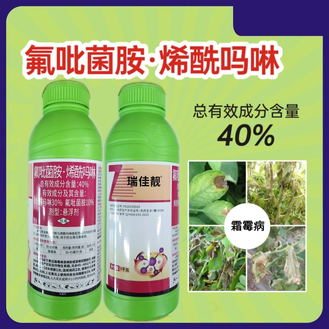 郑氏.瑞佳靓.氟吡菌胺烯酰吗啉40%.霜霉.晚疫病.治疗预防杀菌剂