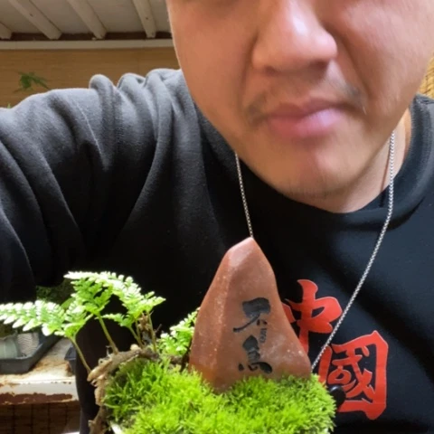 红陶一物一拍所见即所得58