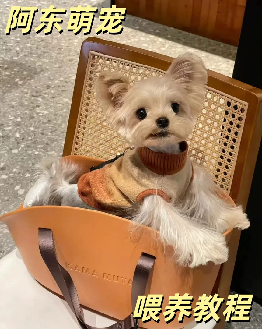 【读书卡】“拍下留意短信”主播带你【一对一挑选】其他咨询服务