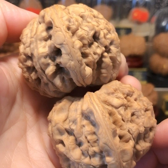 特价秒杀：龙鼎（强迫症勿拍）