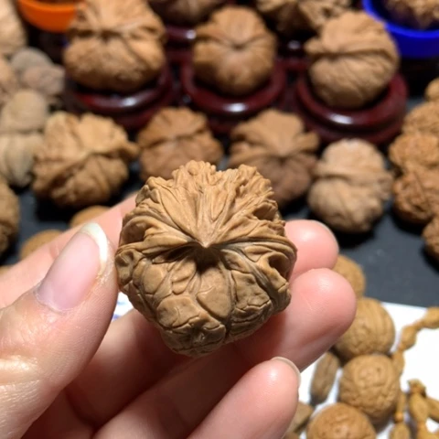 核桃?****冲文山大肚蛇一个