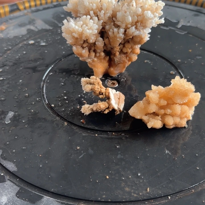 用****6纯天然钟乳石质地坚硬