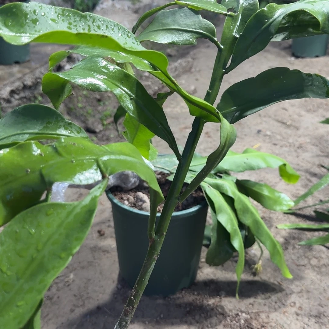 哈哈哈哈哈哈哈哈哈哈哈哈