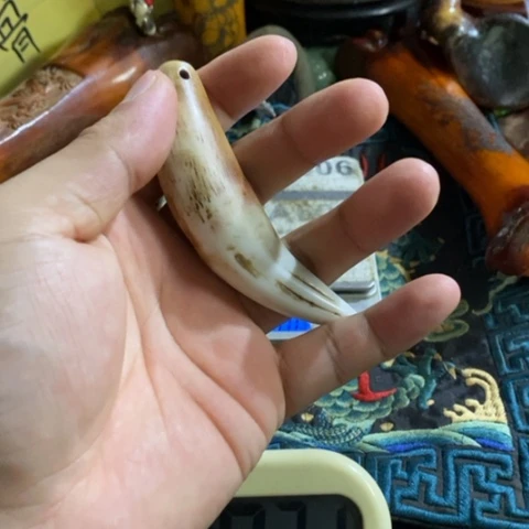 大哥专拍链接一号