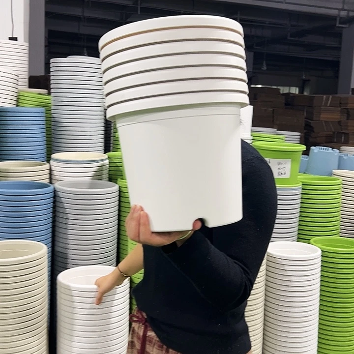 特价4号口25高21.5白色8只无托