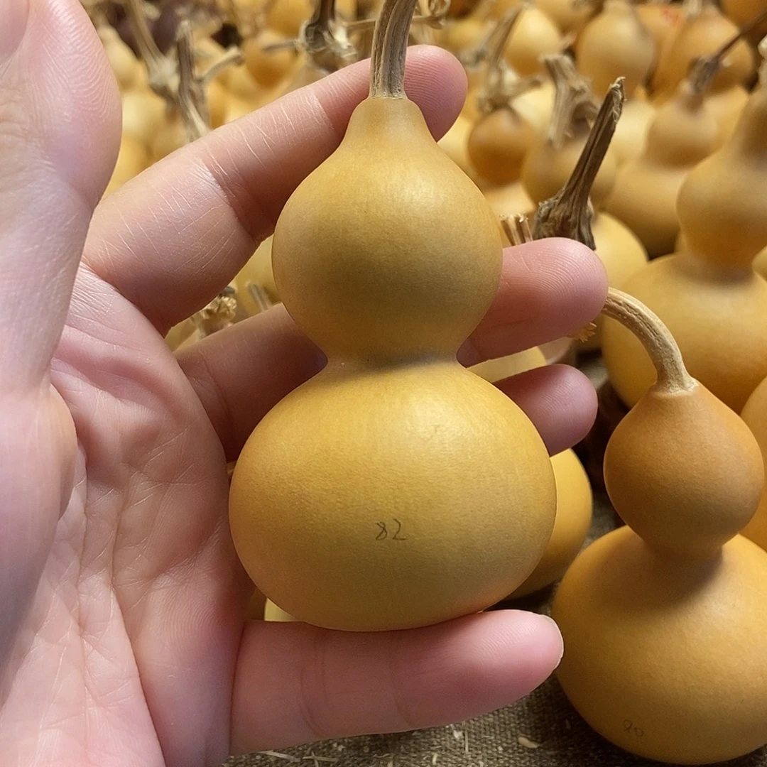 文玩葫芦 完美主义者 慎拍82