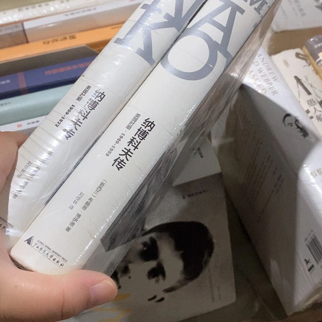 文学纪念碑 纳博科夫  传