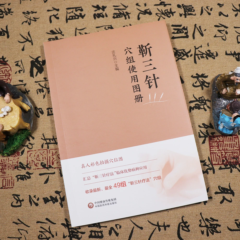 【天地合】靳三针穴组使用图册 庄礼兴 编著 中国医药科