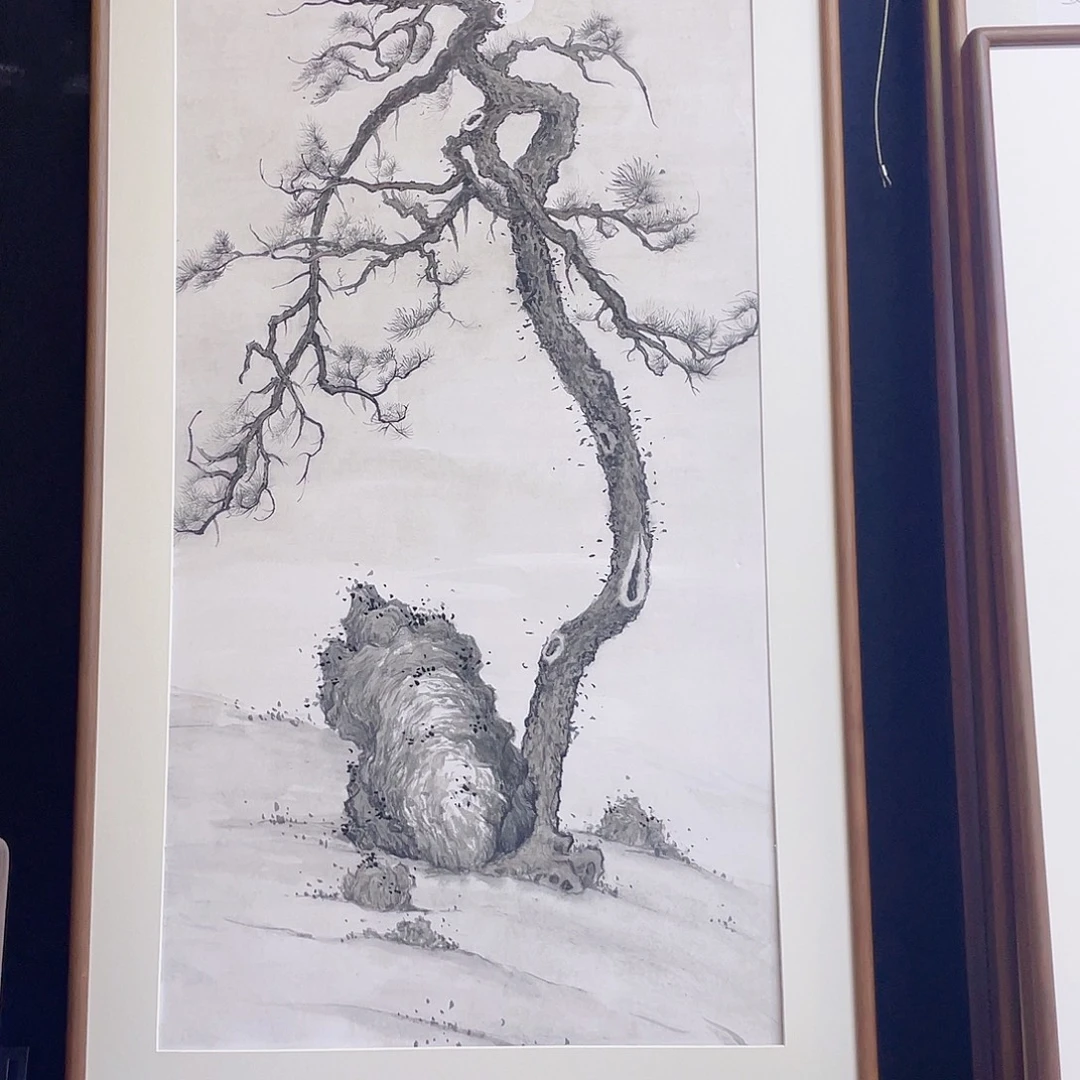 国画手绘国画，精品古松