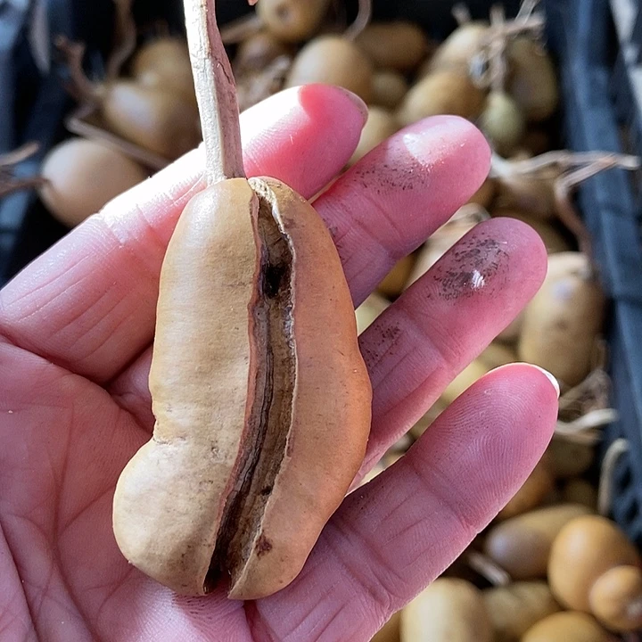 s***鹤hkjf nsk k s d j c d