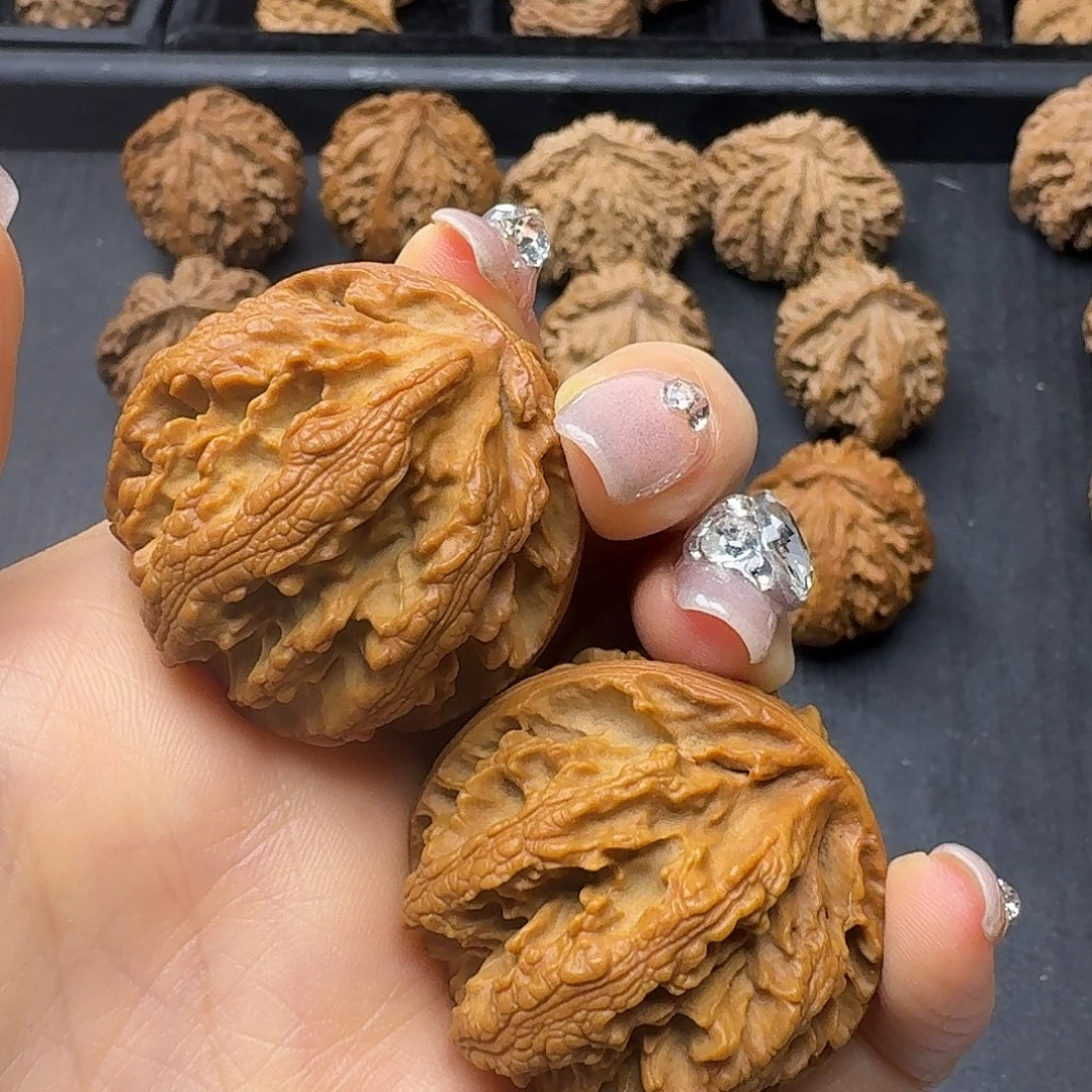 桃木突突突突突突突