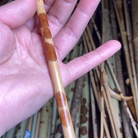 伟****点精美湘妃一支起拍