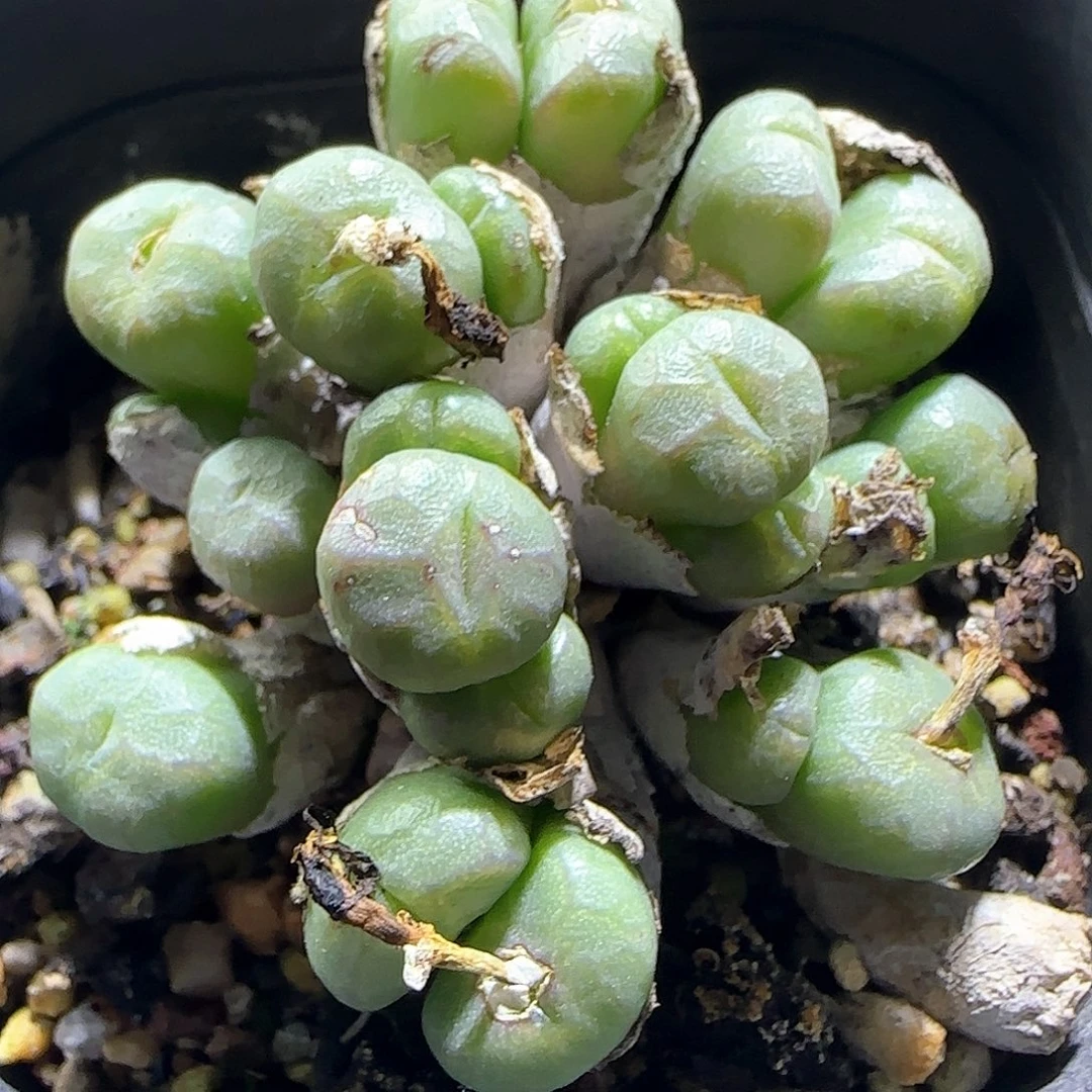 哈哈哈哈哈哈哈58482