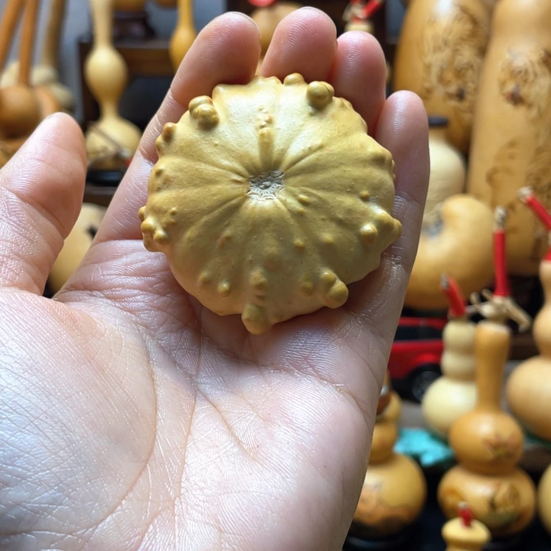 一****节大自然的秘密第十一节你是