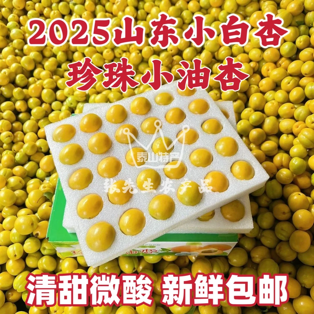 正宗山东小白杏珍珠油杏现摘现发新鲜直达