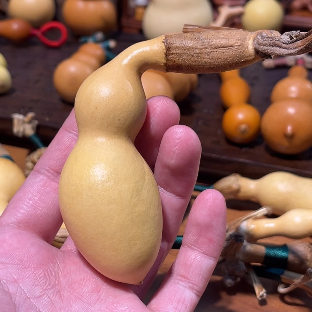 小***腐重返校园第一年我是歌手