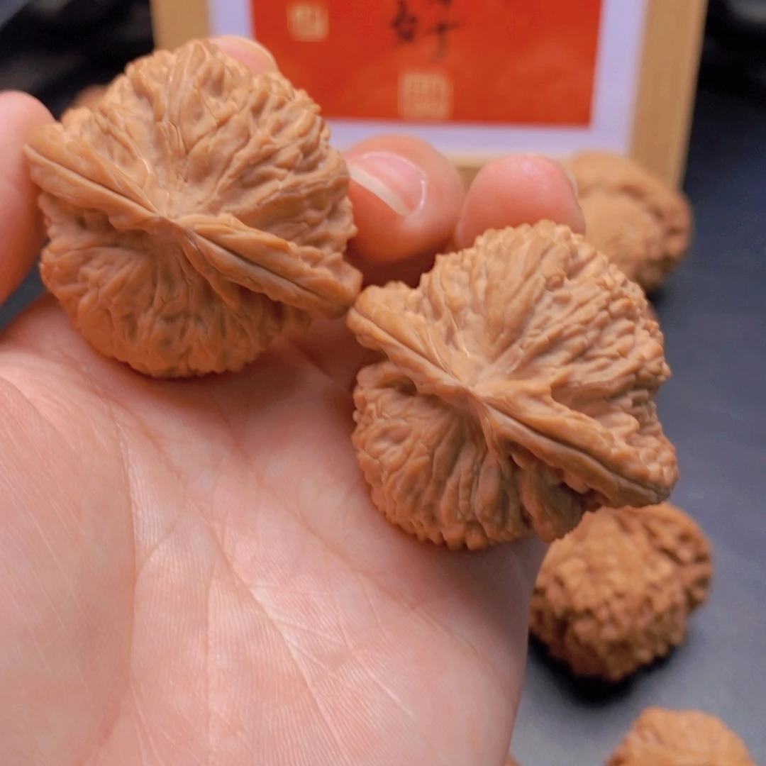 43尺全品老树白狮子