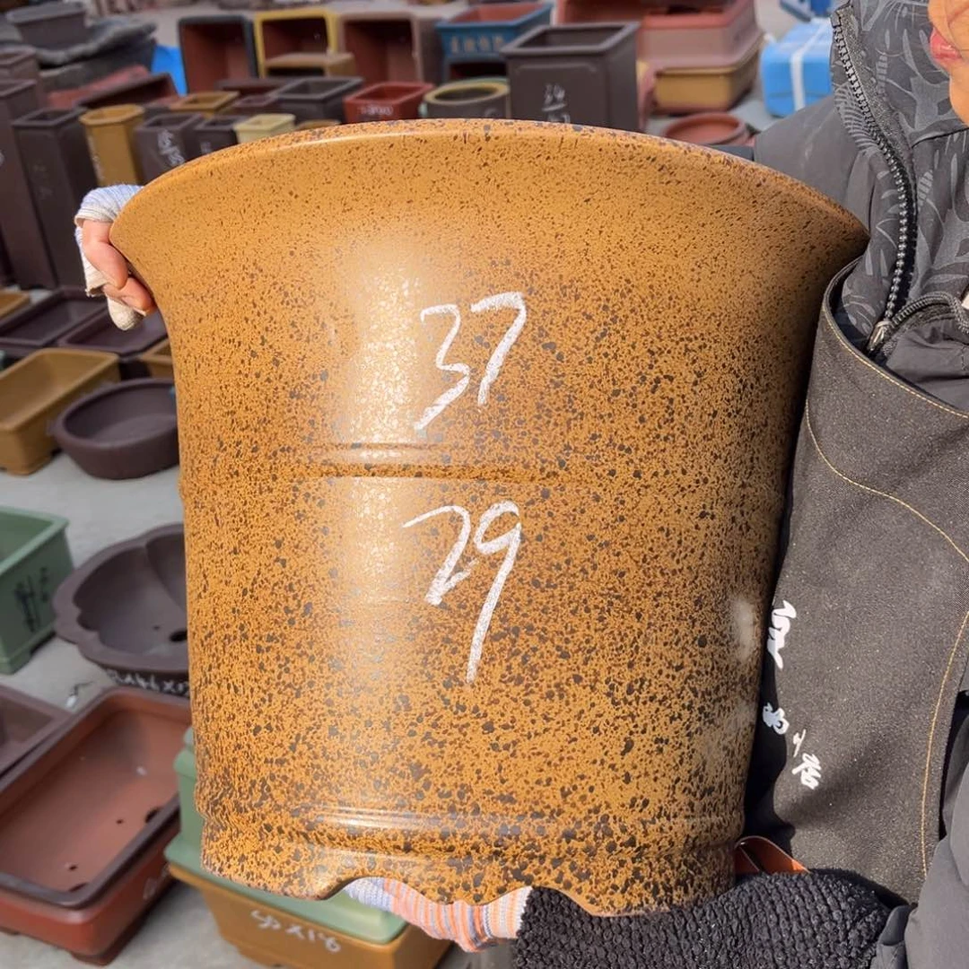 紫砂花盆盆景艺术