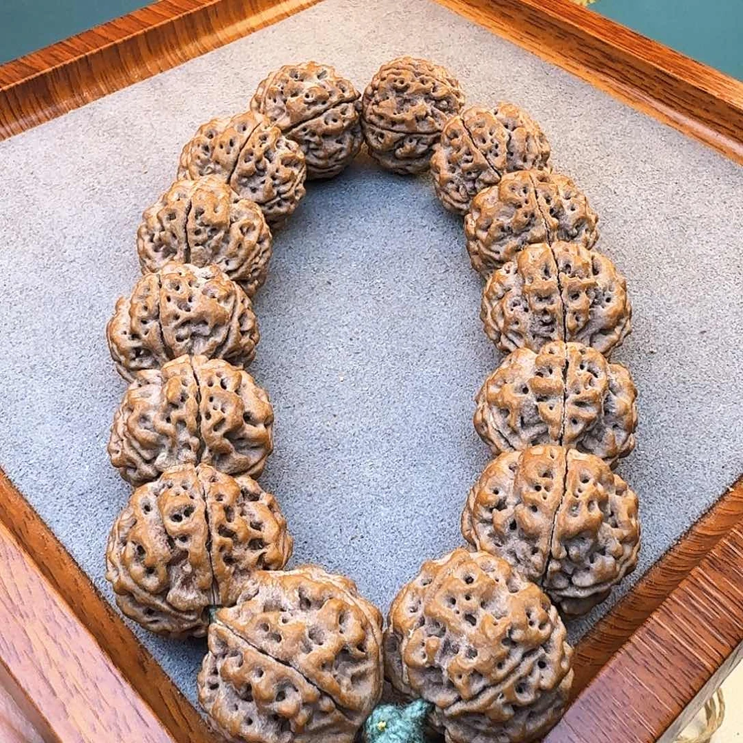 金刚菩提吊坠粗筋蜂窝双龙