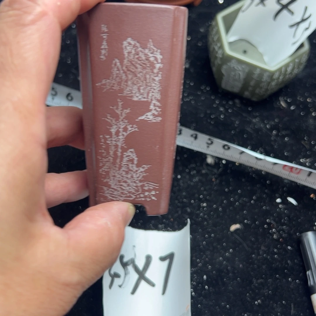 wwwww鹅鹅鹅鹅鹅鹅