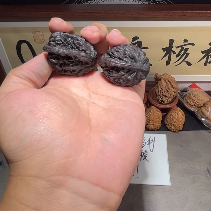 地闷一根筋天使之翼