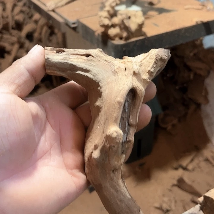 生***蚁木雕等艺术品的制作与制作工作的人员