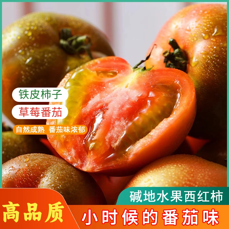 【热卖】正宗铁皮柿子高品质盐碱地草莓西红柿自然成熟酸甜多汁现摘