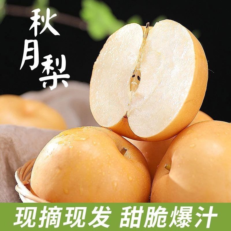【顺丰包邮】酵素益生菌秋月梨甘甜脆爽果肉细腻小孩孕妈老人放心吃山东省