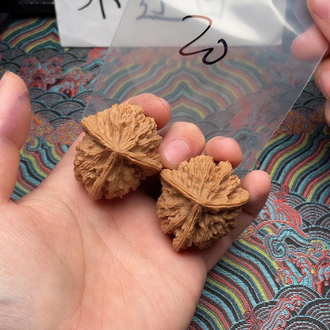 核桃哈哈哈哈哈哈哈哈哈哈