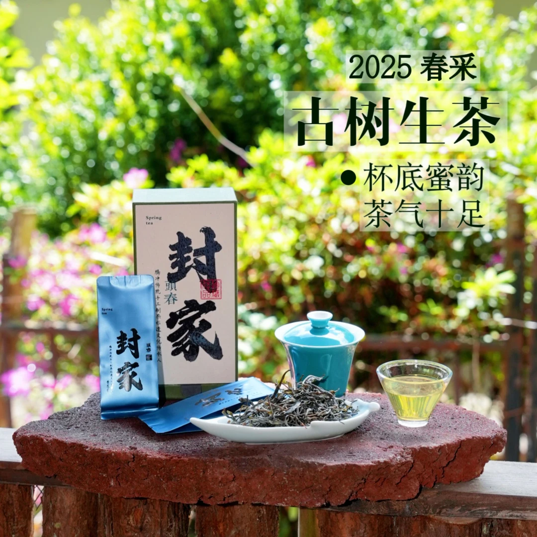 李友芬-古树 封家头春普洱茶生茶高甜