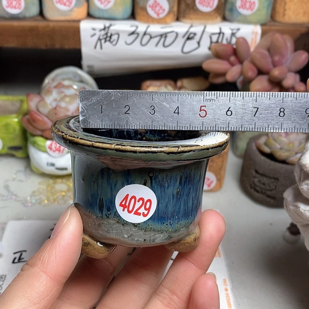 红陶拍5送一个小