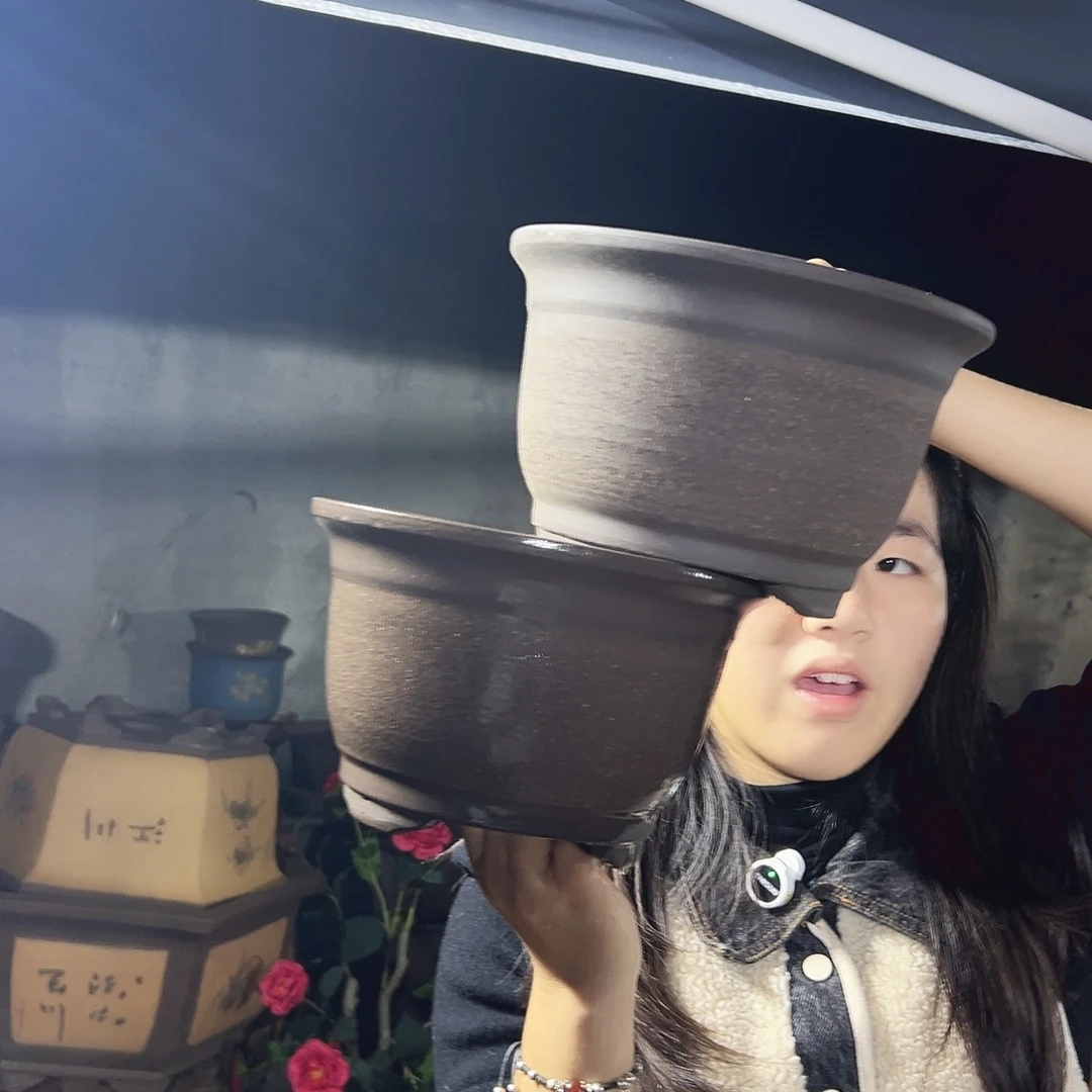 20+20拉毛小马花盆花盆花盆