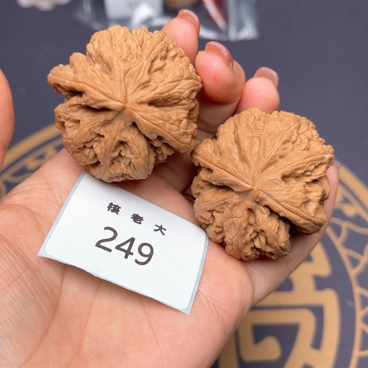 文玩核桃把件44大粗筋 249