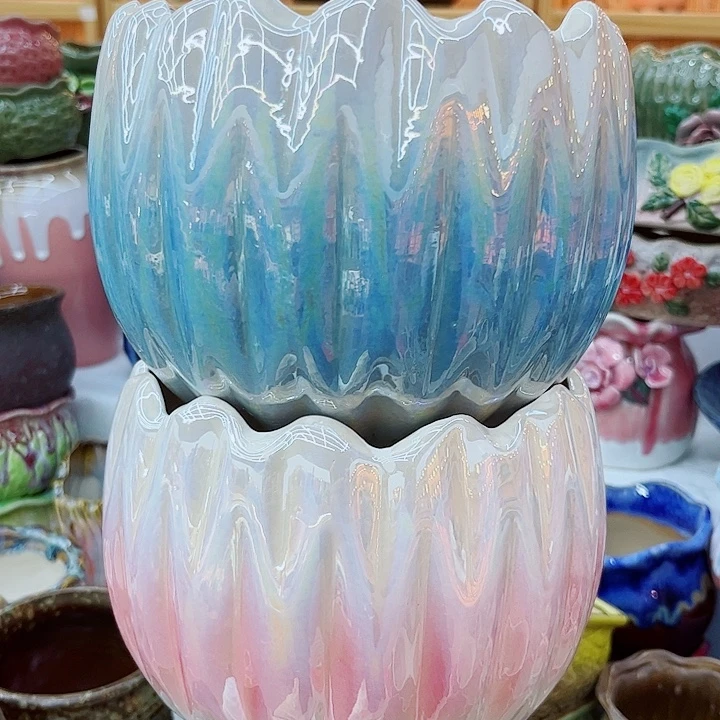 多肉植物陶瓷花瓶