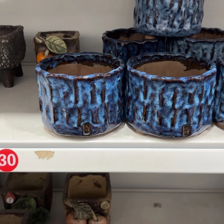 逐****内口10高9左右，2个