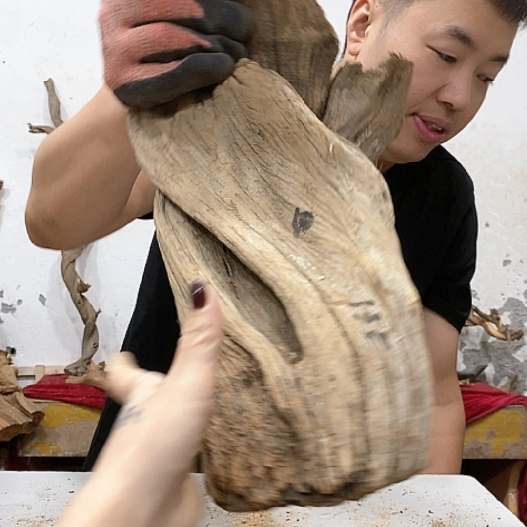 【闪购商品】柏木小*我们都是好孩子