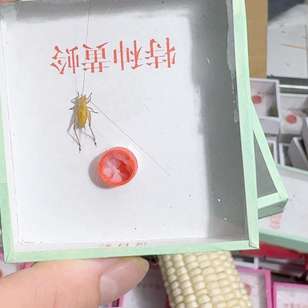 海***盗蝈蝈你在哪呢你现在干吗呢