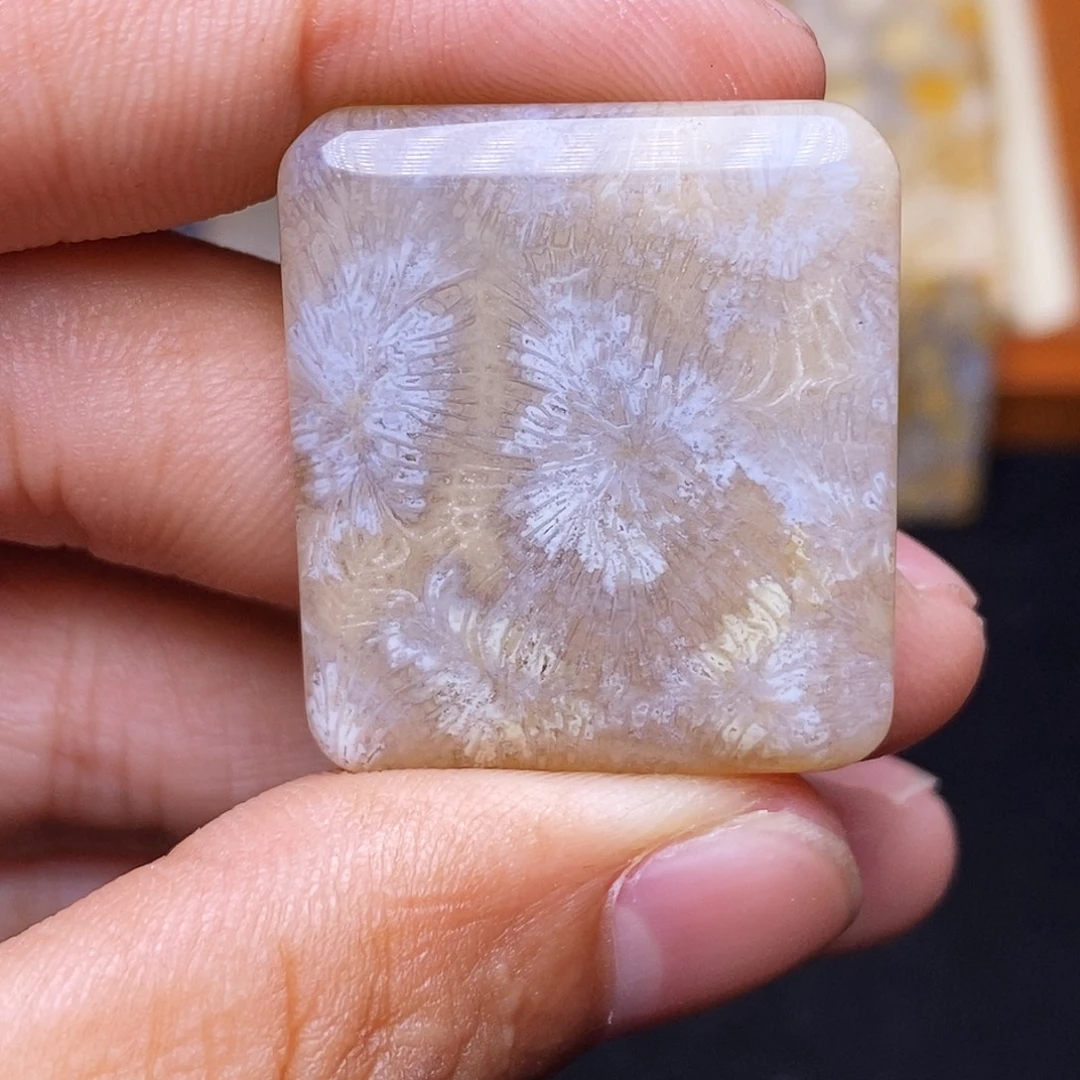 乱***河合金珊瑚玉硅化玉