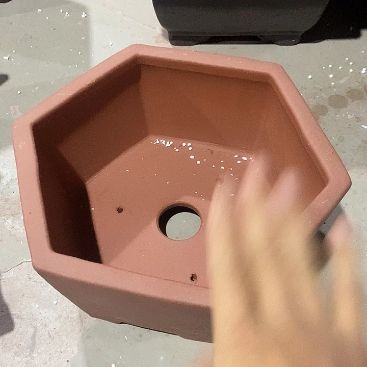 花盆花盆花盆花盆花盆花盆