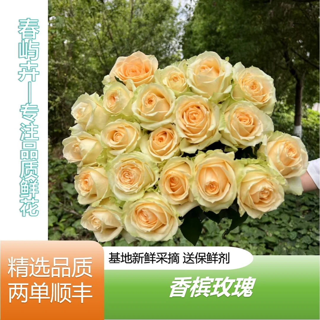 香槟玫瑰云南基地直发任意拍两单顺丰插花手捧鲜花直播间现场卖花