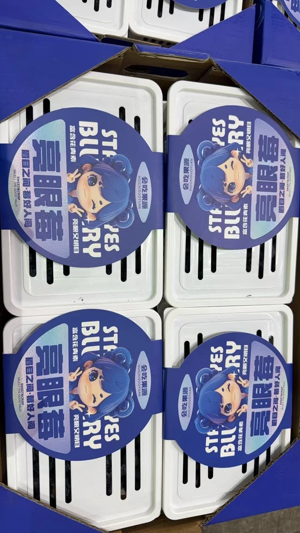 【敏敏】【精选】蓝莓 新鲜水果