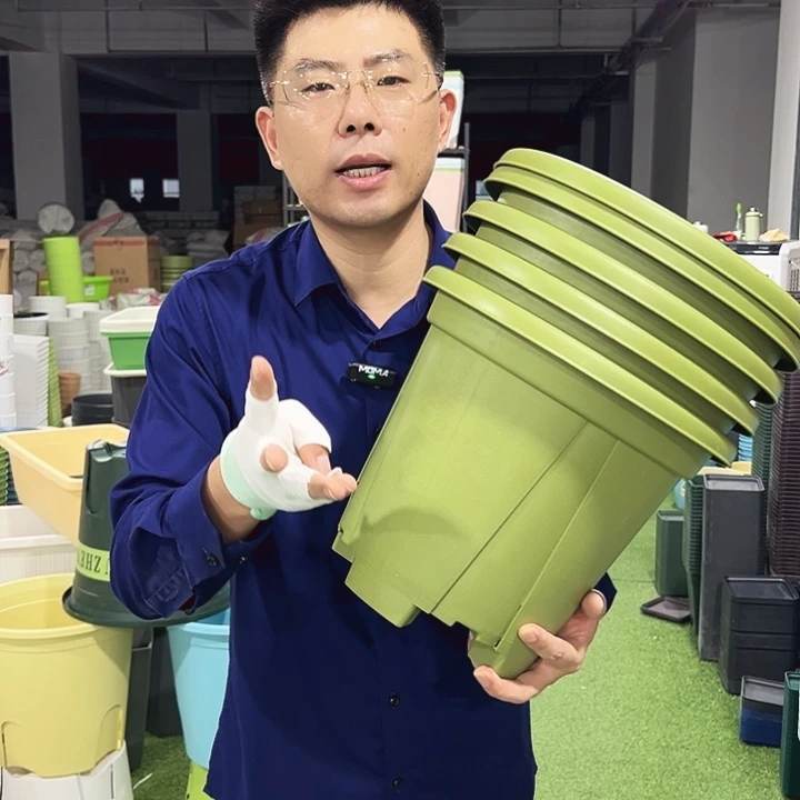 青山口32高28果绿5只无托