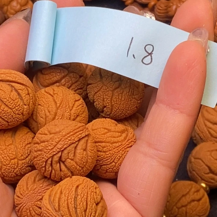 秦岭龙纹桃核的14颗