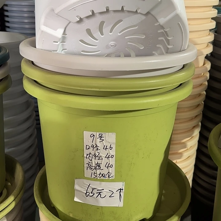 微瑕9#口径46无托灰白3个