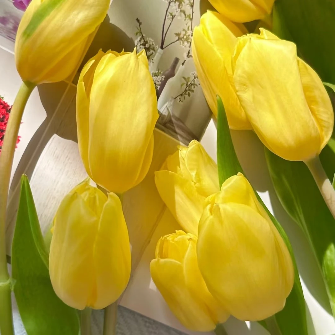 纯金郁金香   居家办公优选《东北基地发货》