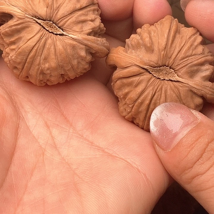 文玩核桃吊坠42白狮子