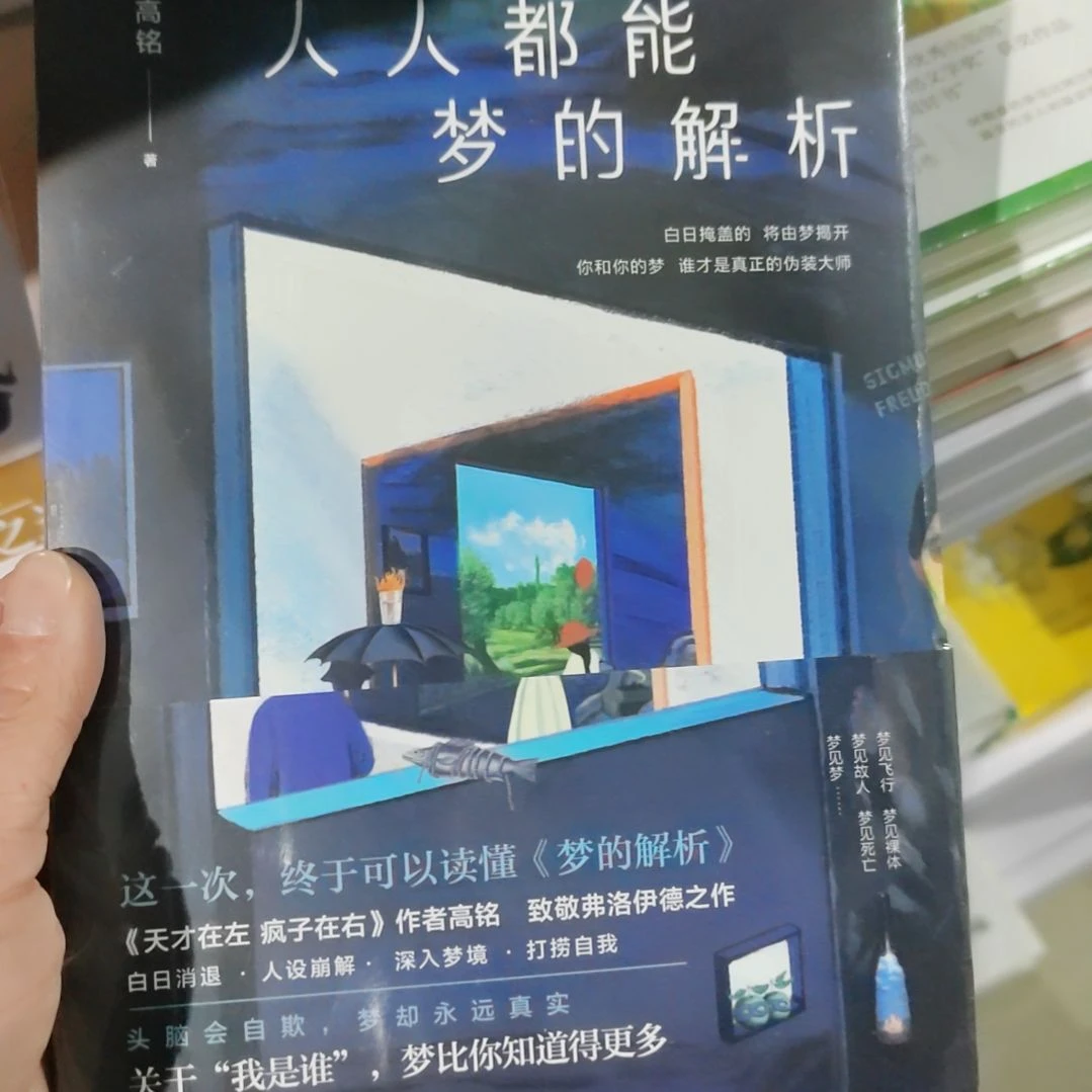 人人都能梦的解析