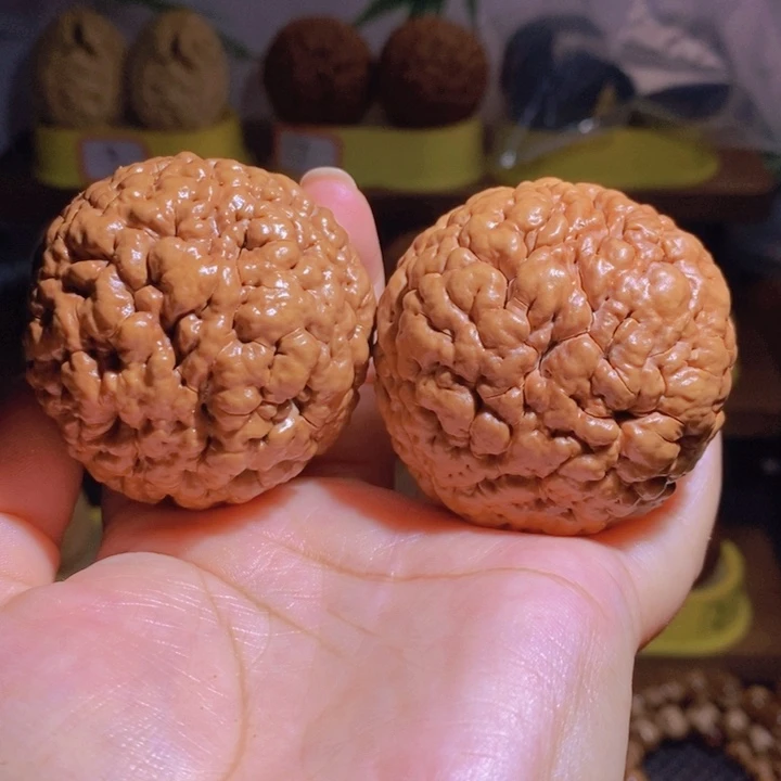 野生三瓣脑纹大金刚5052