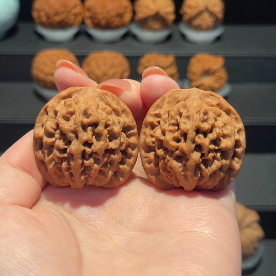 秦闷37精品，货头502